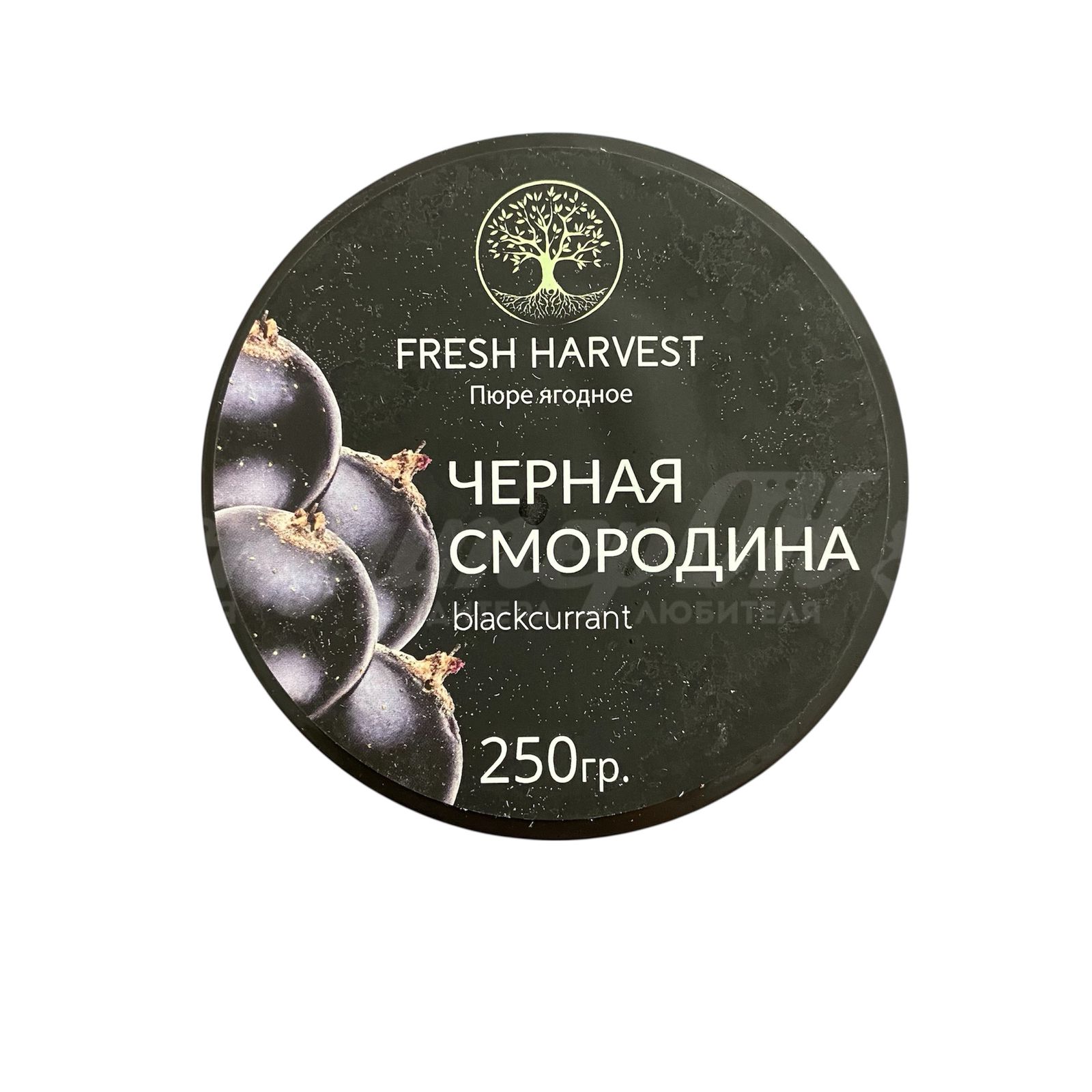 Пюре из черной смородины Fresh Harvest 0,25 кг