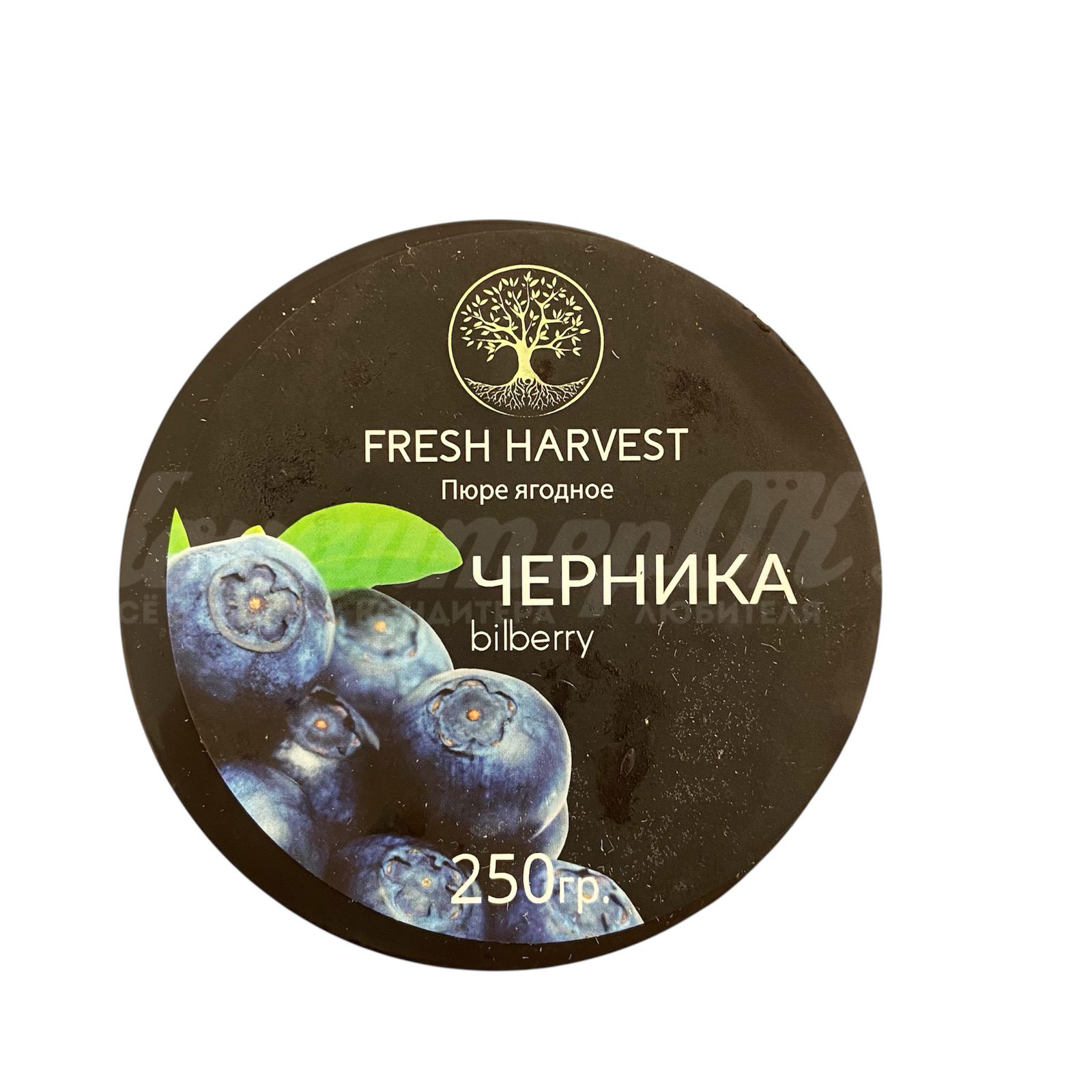 Пюре из черники Fresh Harvest 0,25 кг