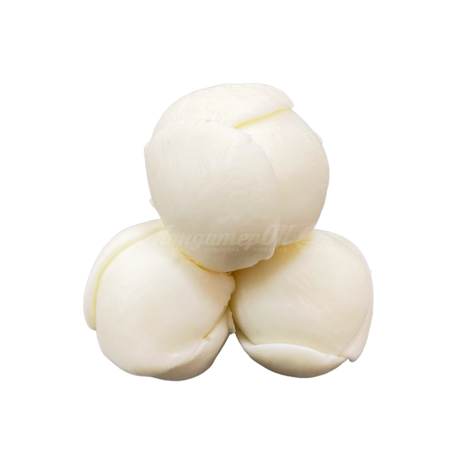 Молд силиконовый 3D Бутончики пиона №179 